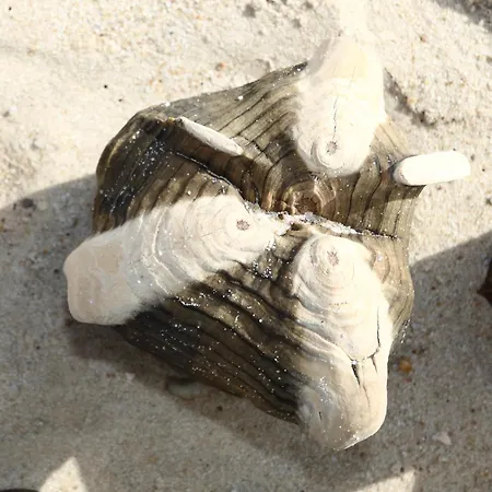 Haus Kaeptn Christiansen 57 *